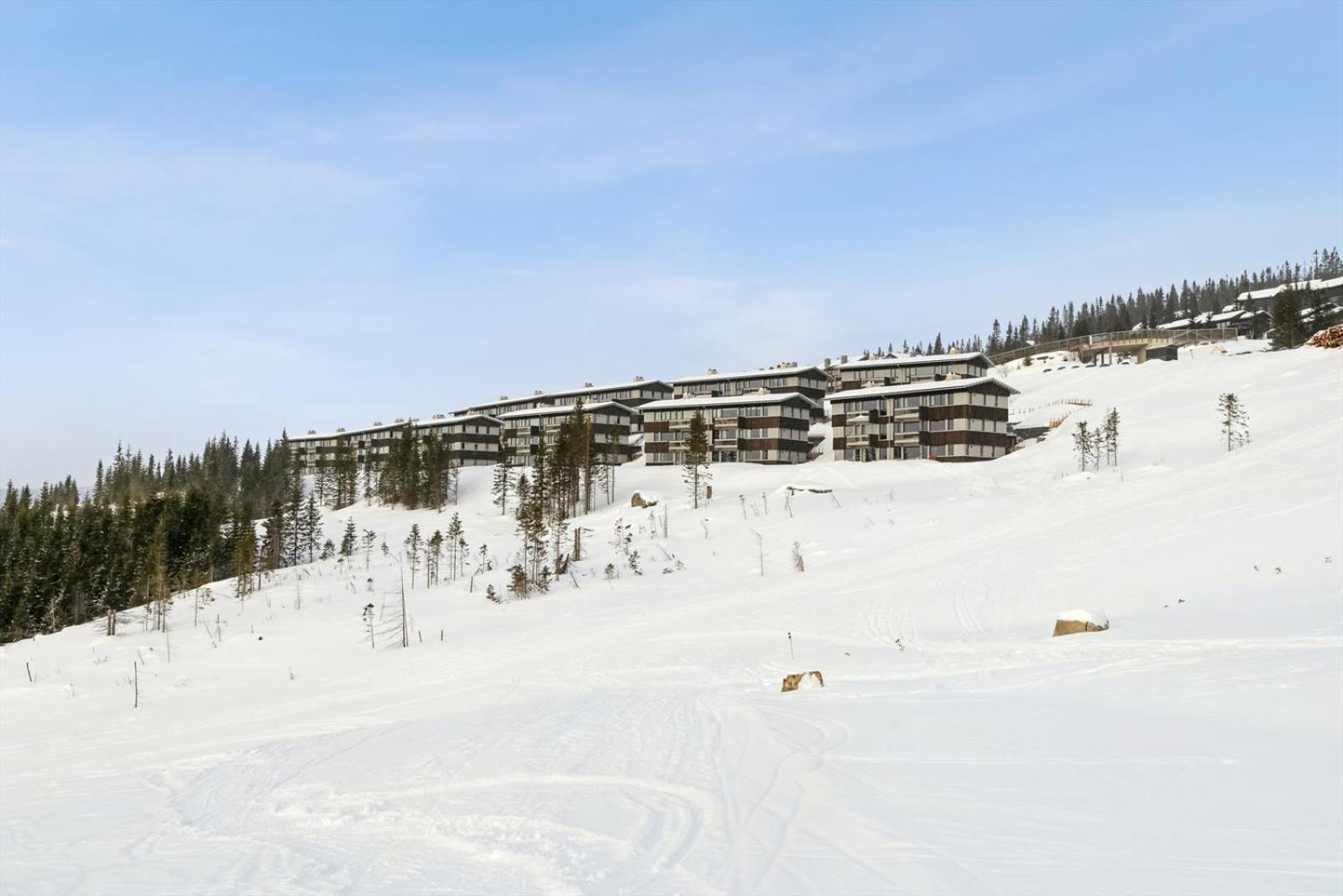 Hafjell Front 8Pers, Ski In/Out. Downhill Bike Eksteriør bilde
